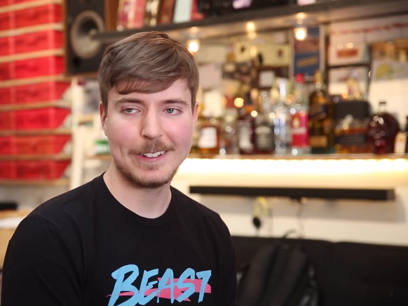 Mr. Beast Vermögen Info