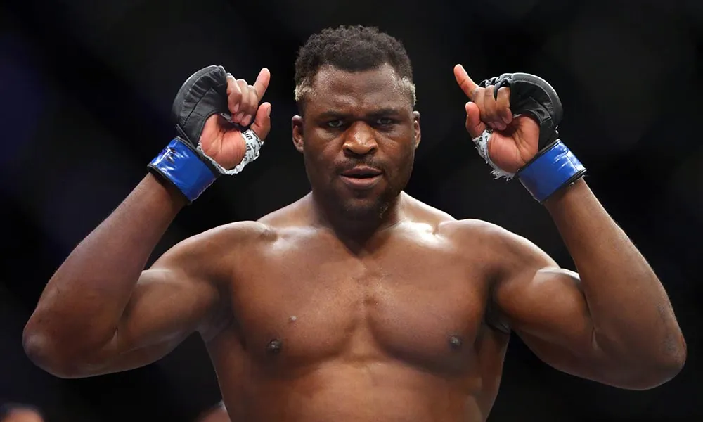 Vermögen Francis Ngannou