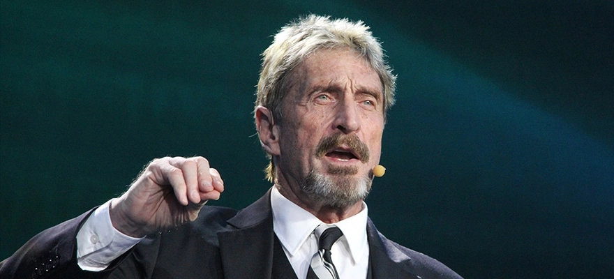 Vermögen John McAfee