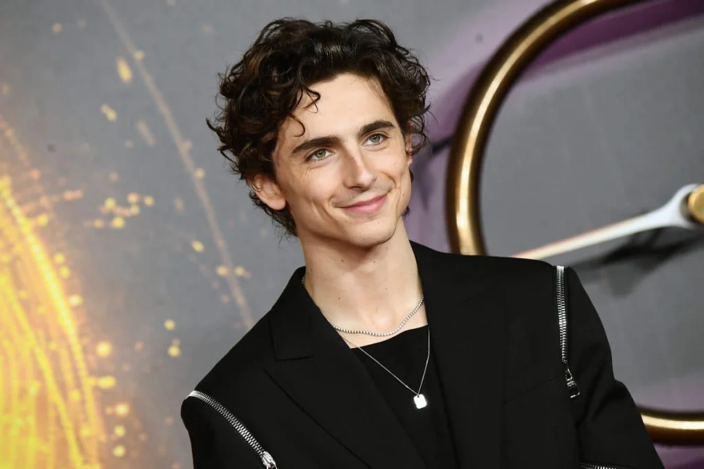 Timothée Chalamet Alter