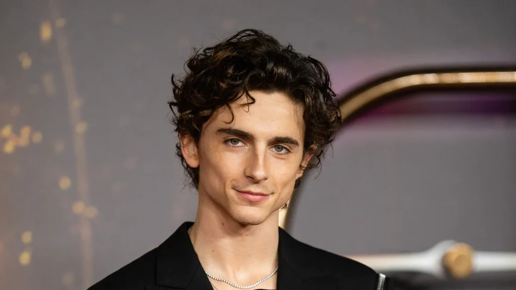 Timothée Chalamet Alter Info