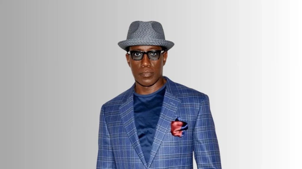 Vermögen Wesley Snipes