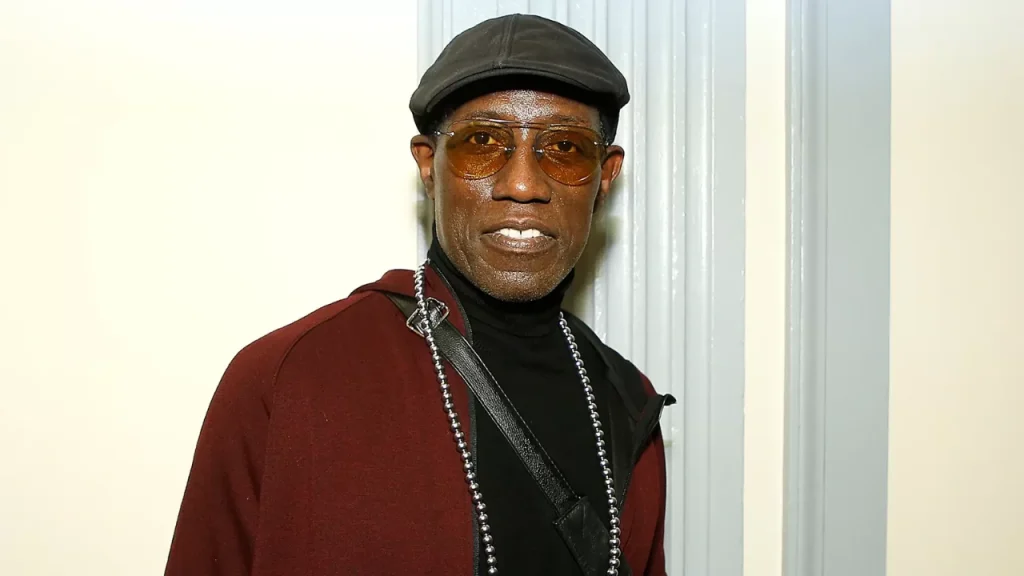 Wesley Snipes Vermögen Info