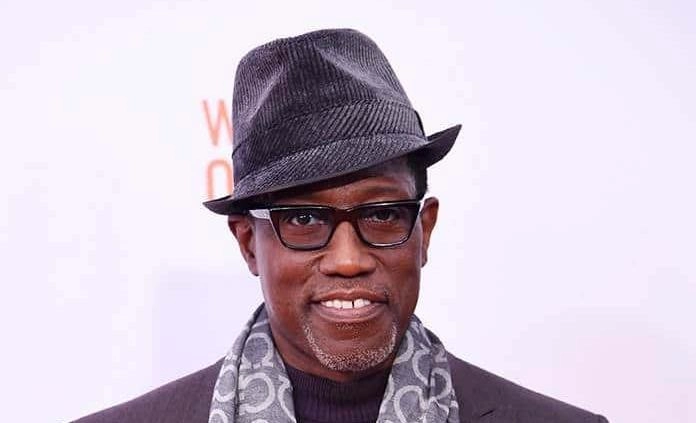 Wesley Snipes Vermögen