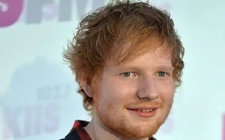 ed sheeran frau Ernährung 