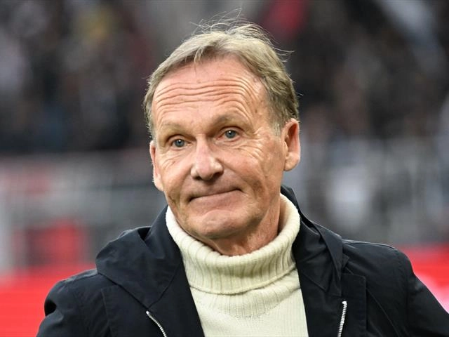 Karriere und beruflicher Werdegang