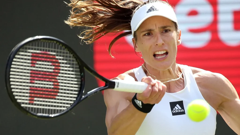 Andrea Petkovic Vermögen